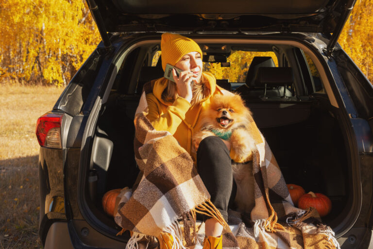 The 15-Minute Thanksgiving Road Trip Car Checklist to Prevent Breakdowns